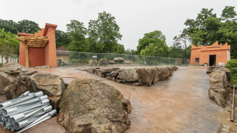 Plzeňská zoo dokončuje přestavbu výběhu pro lvy
