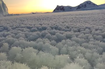 Alena Zárybnická doporučuje nejkrásnější snímky počasí za rok 2021. Ve finále světové soutěže je i Čech