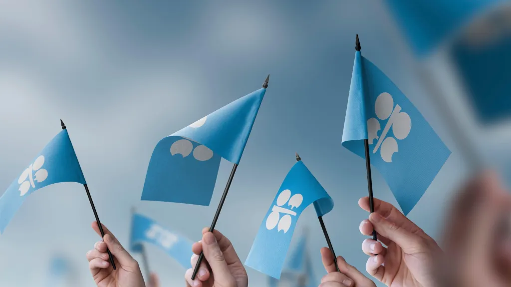 Ilustrační snímek