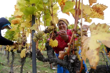 Inflace i vysoké životní náklady mohou ovlivnit výsledek maďarských voleb