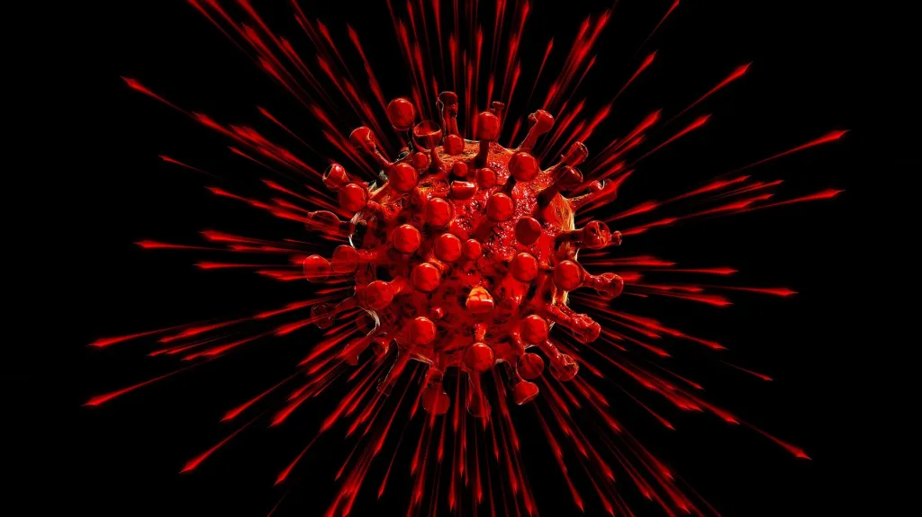 Nový koronavirus, ilustrační foto
