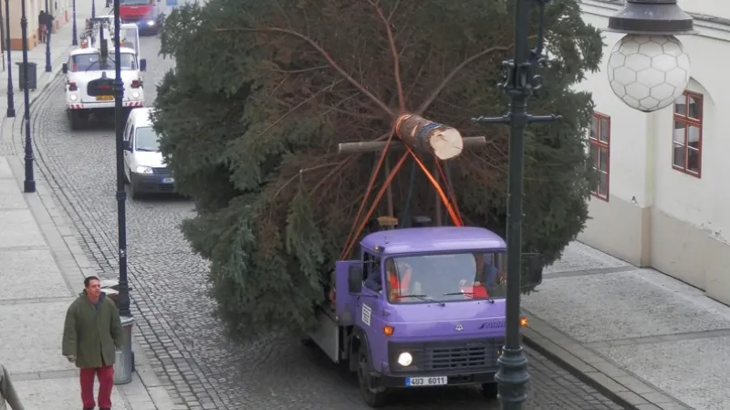 Příjezd vánočního stromu