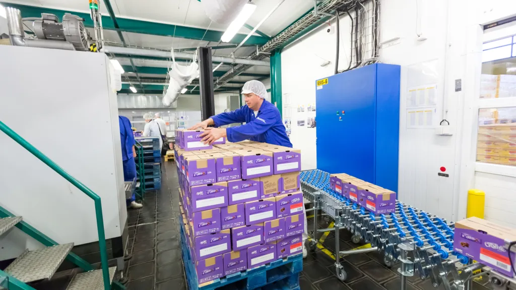 Mondelez vyrábí především cukrovinky