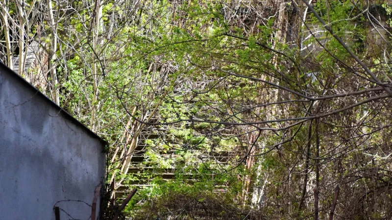 Schody jsou jedinou přípomínkou bývalé zastávky v Karlíně