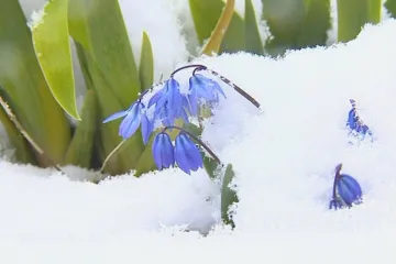 V noci v Česku padaly 100 let staré teplotní rekordy