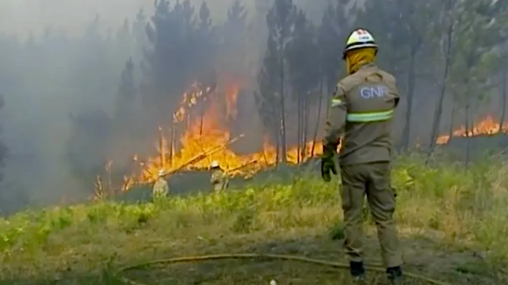 Lesní požár v Portugalsku