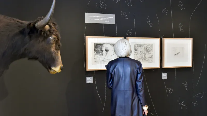 Výstava Pablo Picasso: Vášeň a vina (Museum Kampa)