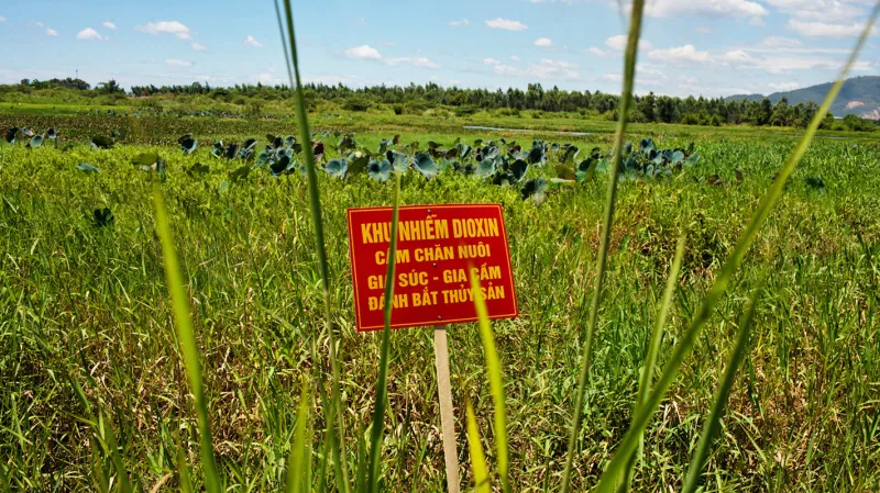 Oblast v Danangu zamořená Agentem Orange