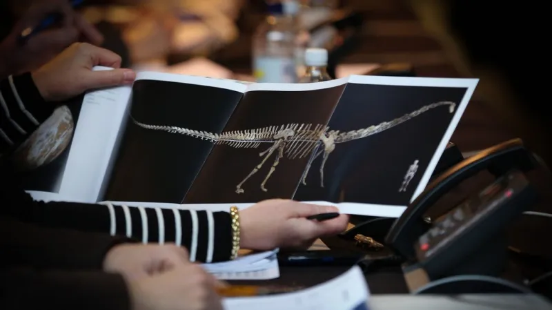 Dražba dinosauří kostry