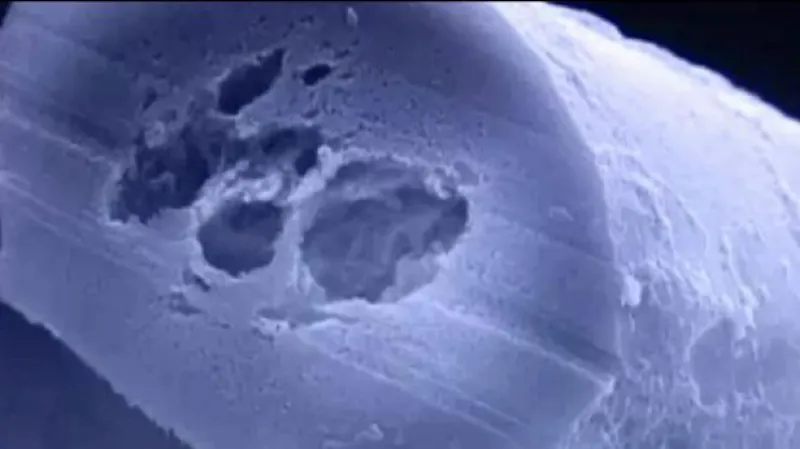 Rozhovor s Davidem Lukášem