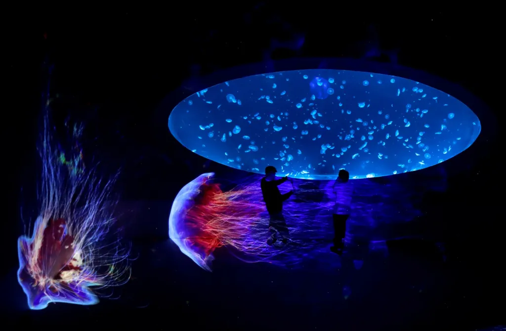 Návštěvníci sledují pomalé pohyby medúz v obrovském kulovém akváriu ve Světě medúz v Praze