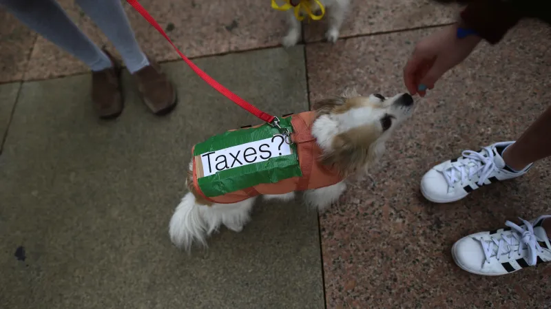 Demonstrace proti Trumpovi