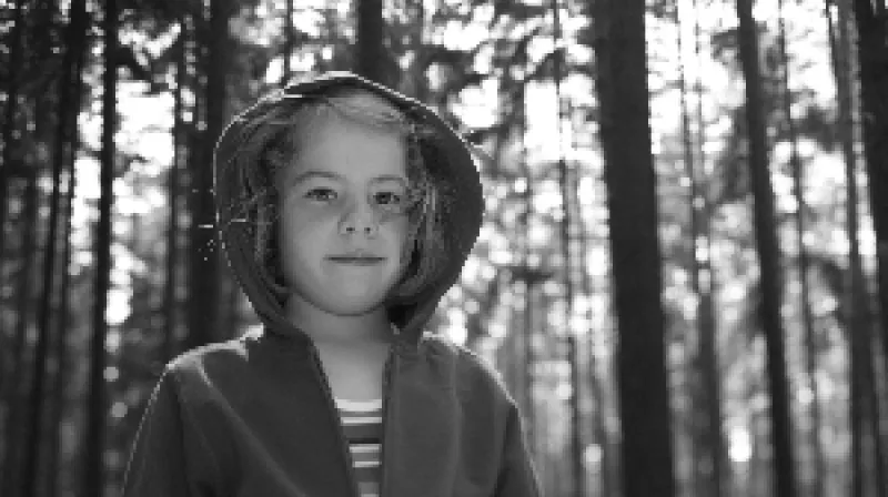 Kdopak by se vlka bál