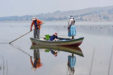 Některá jezera odolávají změnám klimatu lépe než jiná, ukázal český výzkum