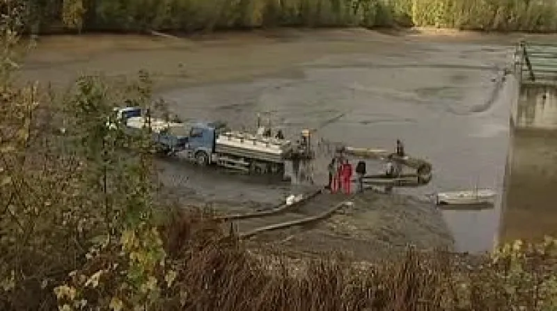 Na na sumčí manžele se při každoročním výlovu košínské nádrže přijdou podívat desítky lidí, na práci rybářů dohlížejí i veterináři.