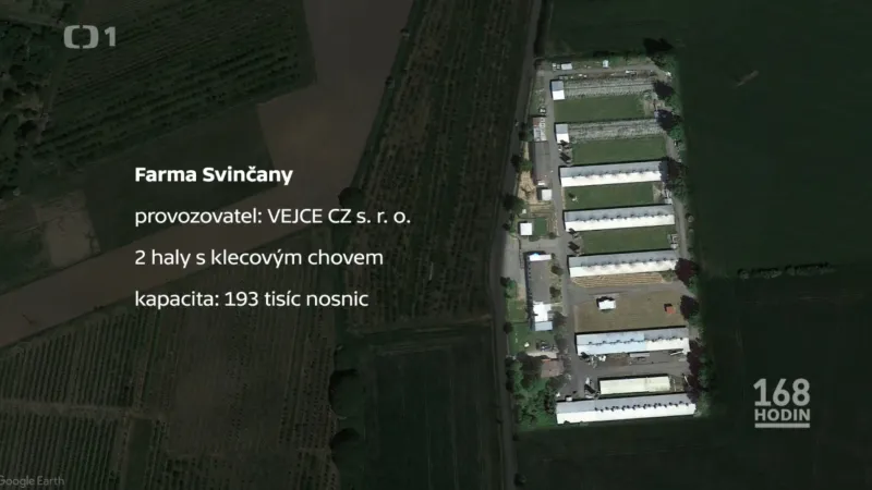Farma Svinčany