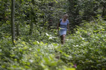 Archeologové objevili na Rychnovsku pravěké osídlení, mohlo by jít o unikátní nález