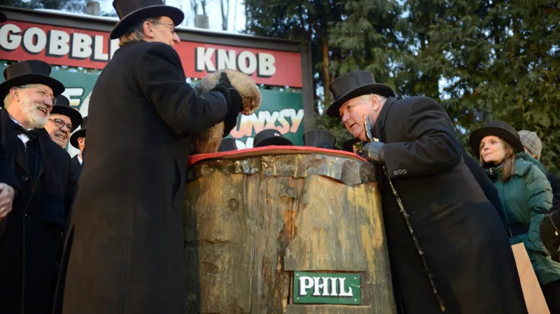 Phil čeká pokračování zimy