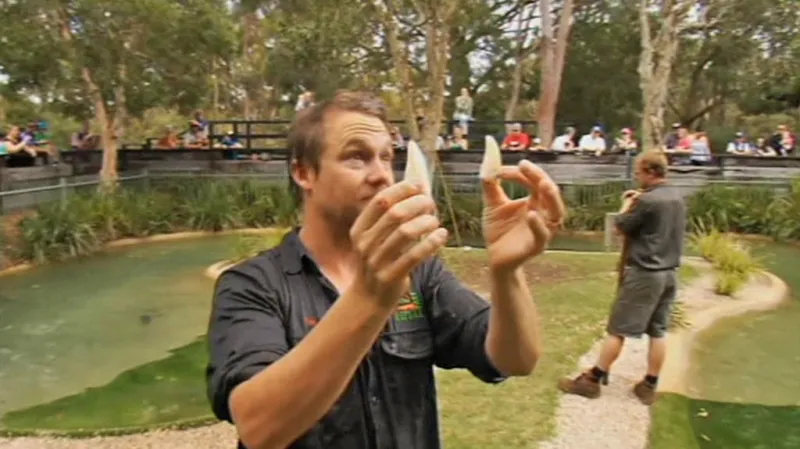 Elvisovy vylomené zuby