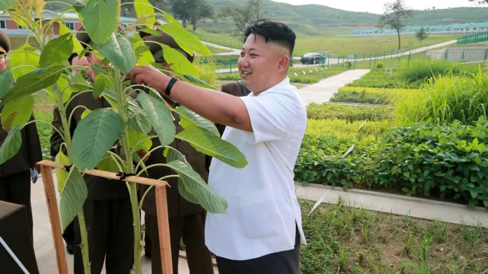 Kim Čong-un kouká na lupení