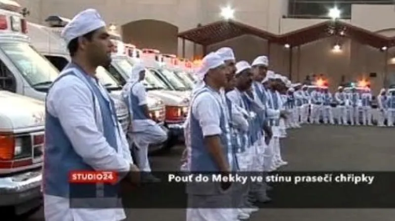 Prasečí chřipka ohrožuje pouť do Mekky