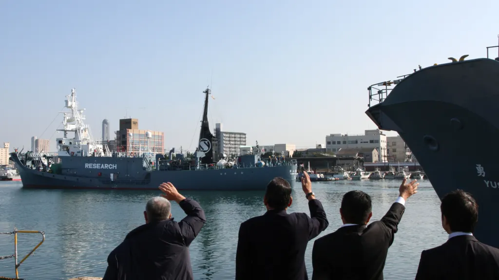 Začíná znovu kontroverzní lov velryb u Japonska