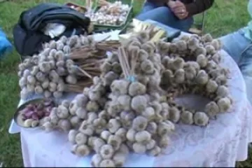 8. ročník festivalu česneku v zámeckém parku v Buchlovicích