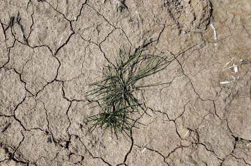 Teploty letos nestouply tolik jako v předešlých letech, trend se ale nemění, upozorňuje WMO