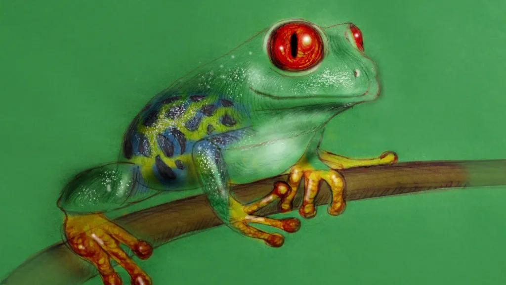 Ilustrační foto