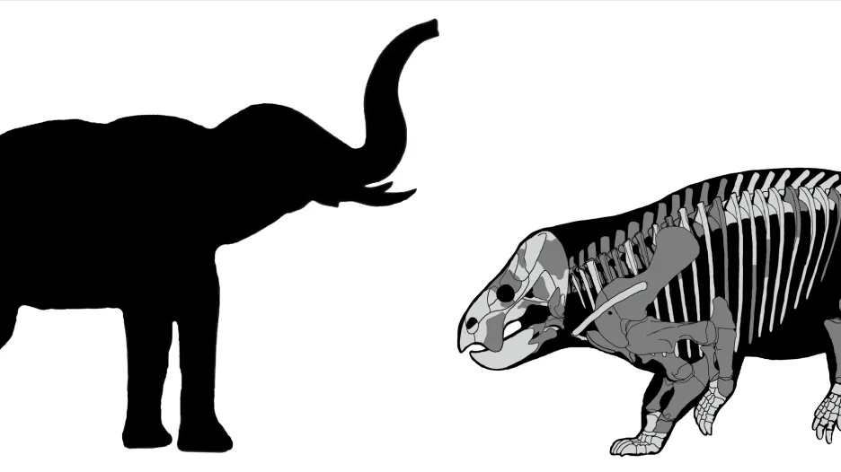 Vědci popsali obřího souputníka dinosaurů