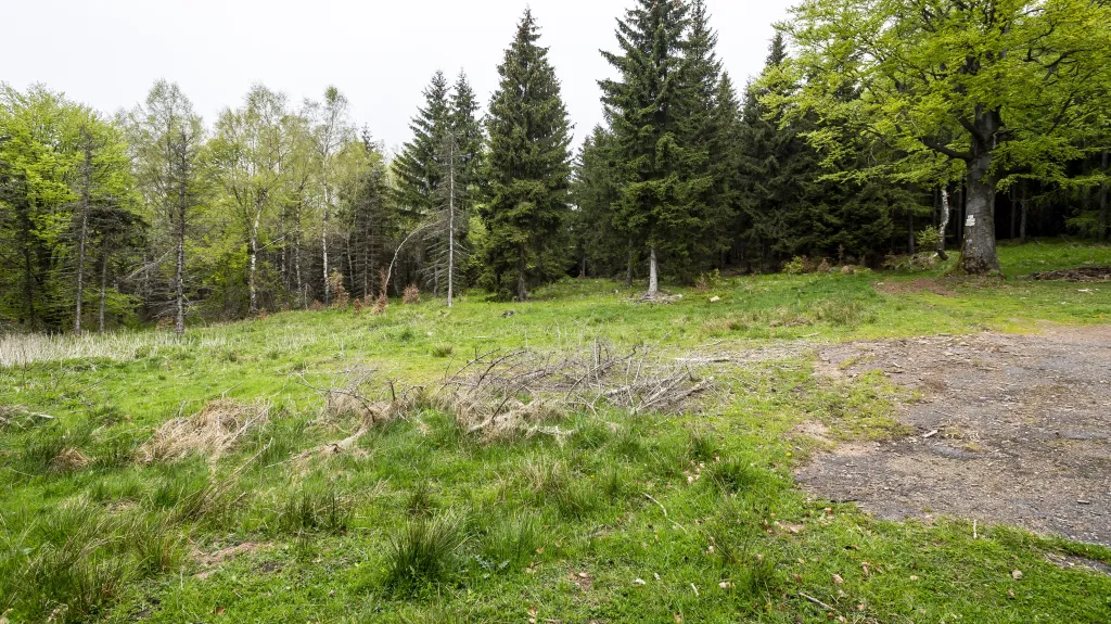 Místo, kdy by měl vzniknout vstupní portál do dolu na těžbu lithia na Cínovci, na snímku z roku 2023