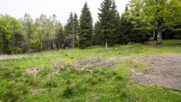 Místo, kdy by měl vzniknout vstupní portál do dolu na těžbu lithia na Cínovci, na snímku z roku 2023