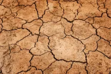 Tunisko trpí suchem. V noci zakázalo odběr vody a bojí se o úrodu