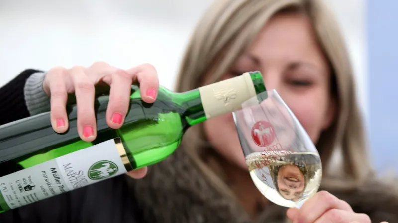 Svatomartinské víno