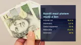 Šťastná: V Česku není zvykem inzerovat pozici s platem, je to o vyjednávání