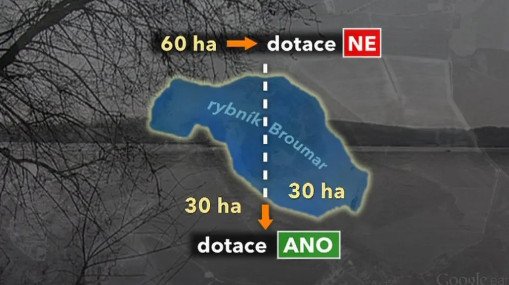 Kritéria pro udělení dotace
