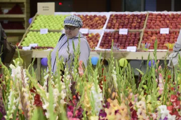Začala podzimní Flora Olomouc. Oslaví letošní úrodu i třicet let svobody