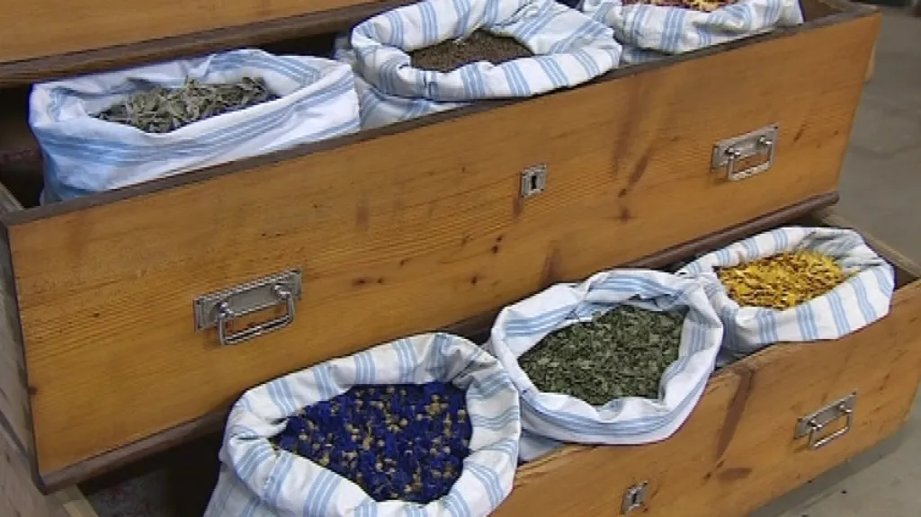 Obliba bylinných čajů roste