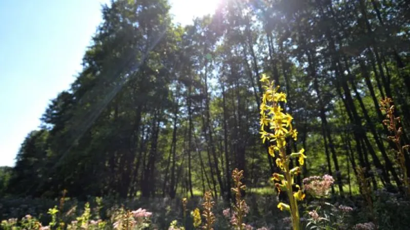 CHKO Kokořínsko se rozšiřuje o Máchův kraj