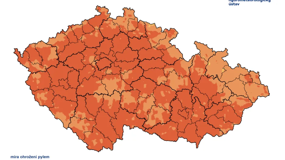 Pylový semafor pro neděli: míra ohrožení pylem je téměř všude vysoká nebo mimořádná