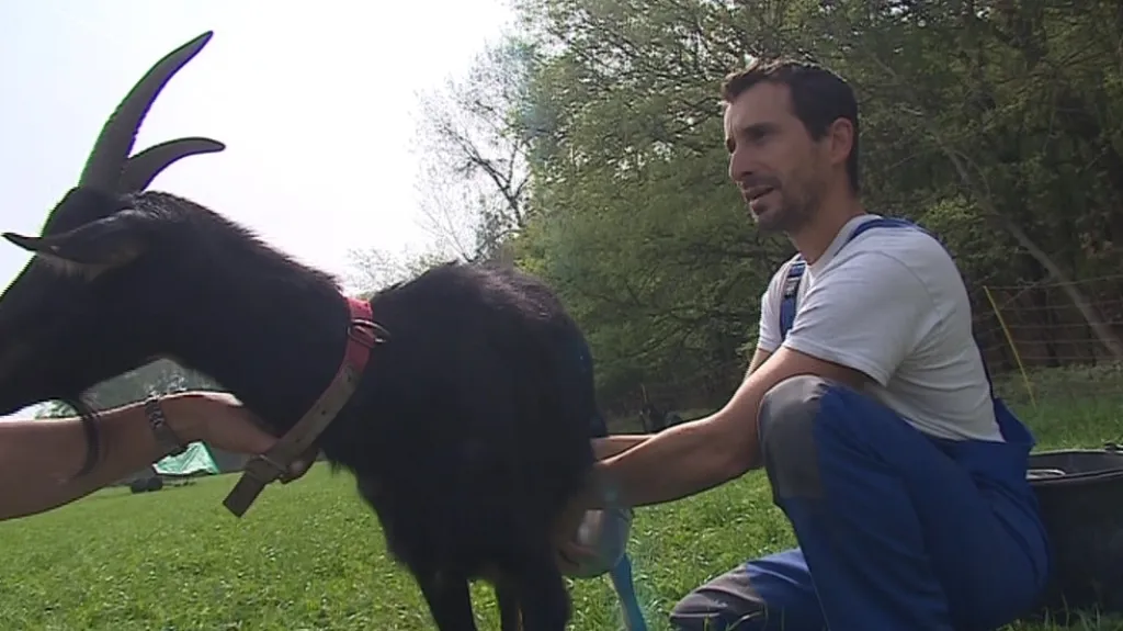 Francouz Sebastian Lux na farmě v Němčičkách