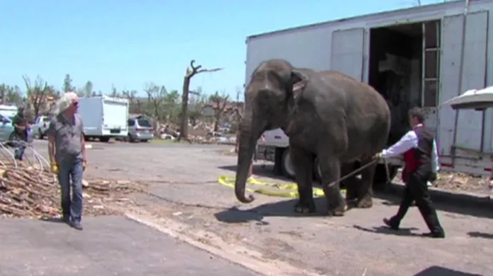 Cirkusový slon pomáhá uklízet trosky v Joplinu