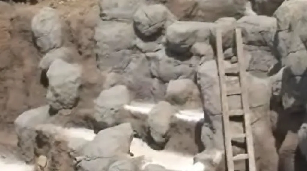 Rozestavěná Beringie