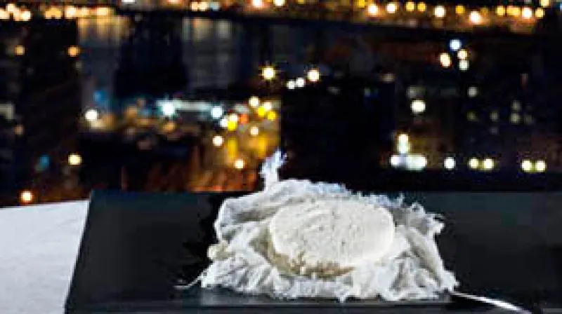 Sýr z mateřského mléka