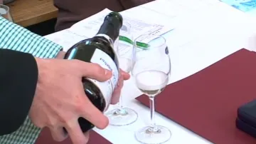 Ochutnávka vína na Valtických vinných trzích