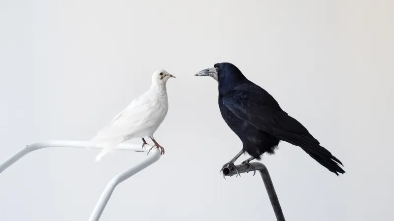 Z výstavy Milan Cais: Dveře dovnitř (Villa Pellé)