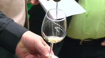 Stovka nejlepších vín bude vystavena na zámku ve Valticích