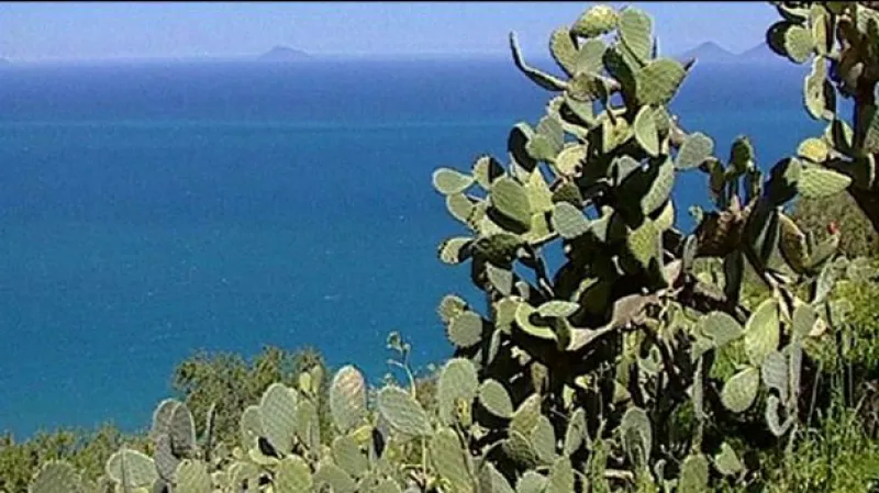 Reportáž Jakuba Linky a Veroniky Markové