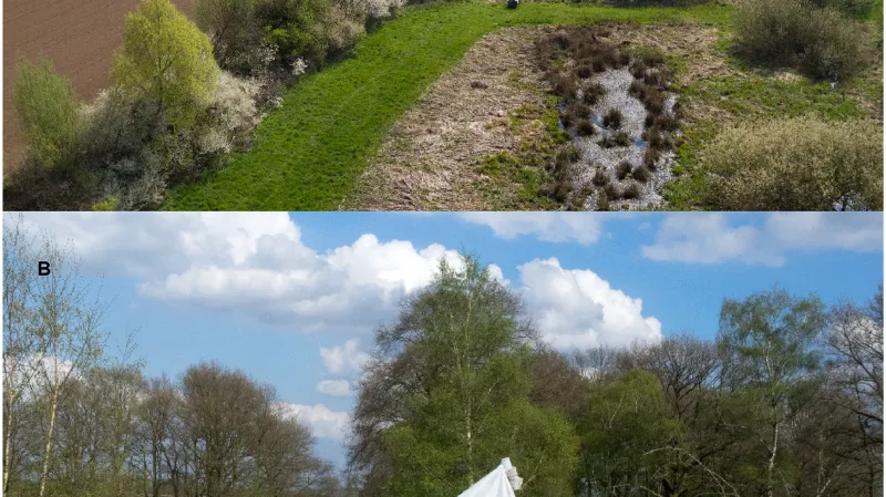 Sítě, které vědci použili na chytání hmyzu