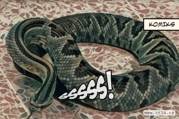 Hadi ročně uštknou pět milionů lidí